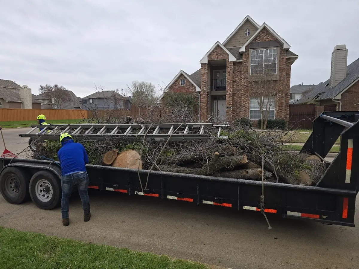 Expert Tree Pest Control with proper safety equipment in Wheeler
